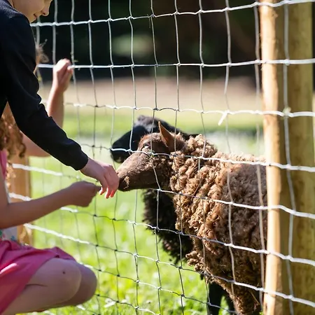 La Fermette Du Pérougord à Rouffignac-st-cernin Périgord Noir 3* Rouffignac Saint-Cernin