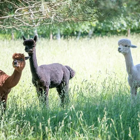 La Fermette Du Pérougord à Rouffignac-st-cernin Périgord Noir 3*