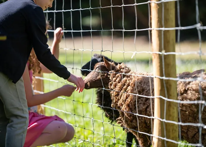 La Fermette Du Perougord A Rouffignac-st-cernin Perigord Noir 3* Руффиньяк-Сен-Сернен